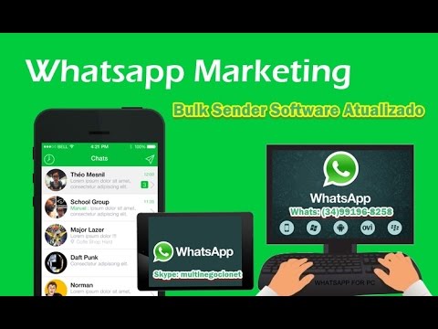 bulk whatsapp sender